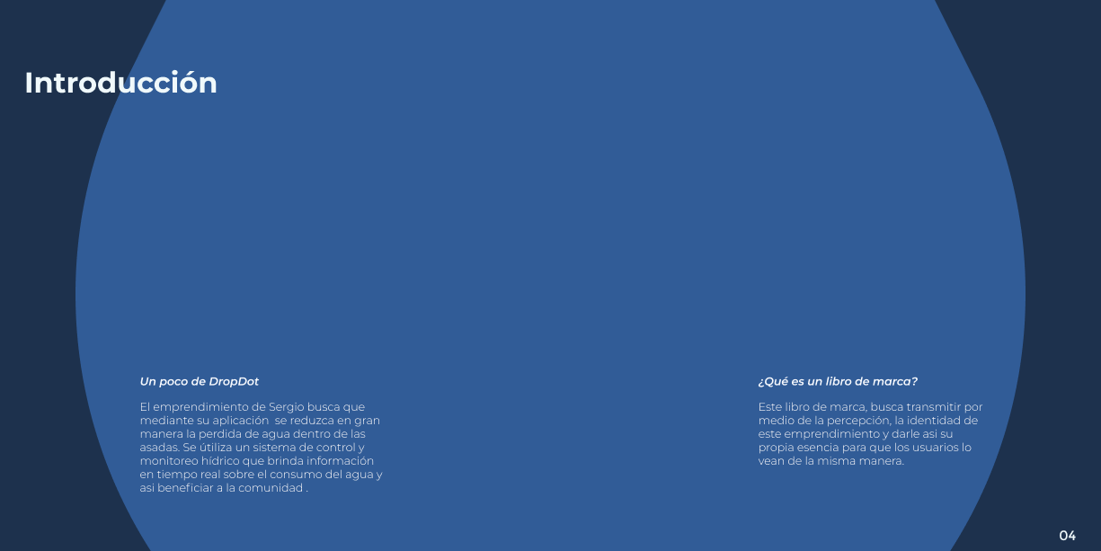 DropDot brand book — page 5